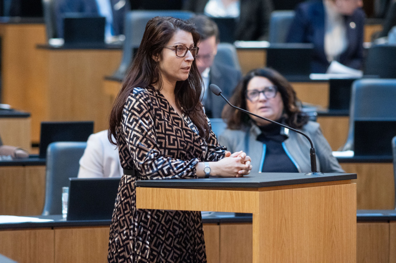 Fragestellerin Nationalratsabgeordnete Muna Duzdar (SPÖ)