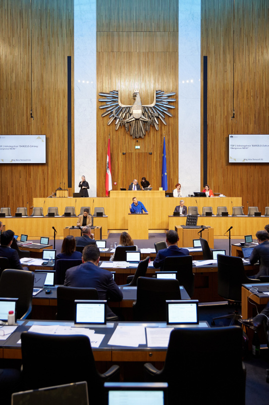 Am Rednerpult Nationalratsabgeordnete Nina Tomaselli (GRÜNE)