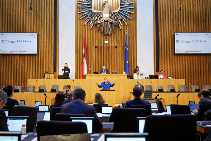 Am Rednerpult Nationalratsabgeordnete Nina Tomaselli (GRÜNE)