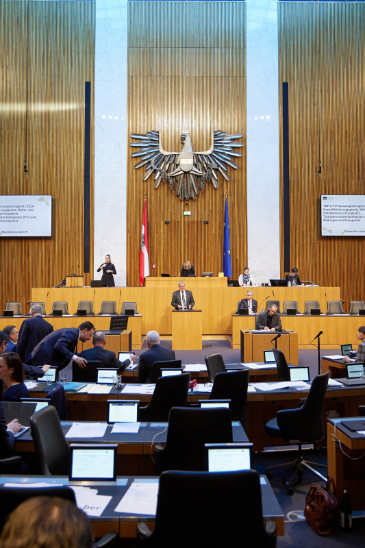 Am Rednerpult Nationalratsabgeordneter Maximilian Linder (FPÖ)