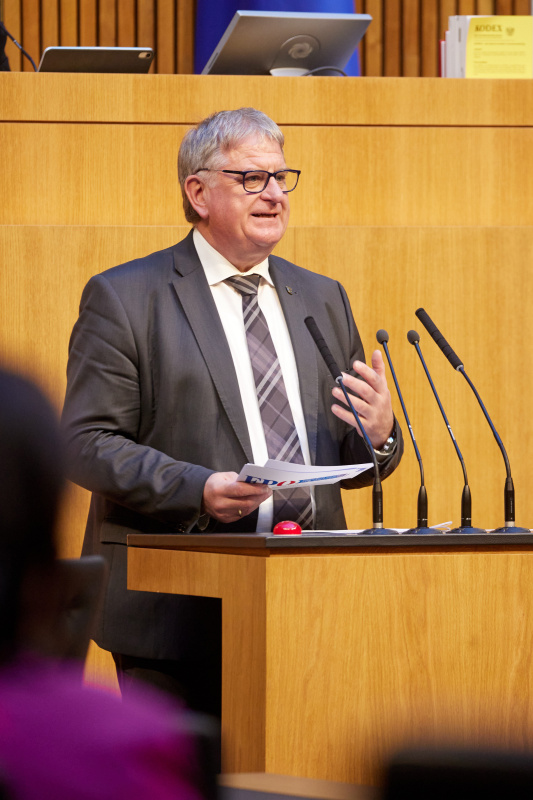 Am Rednerpult Nationalratsabgeordneter Maximilian Linder (FPÖ)