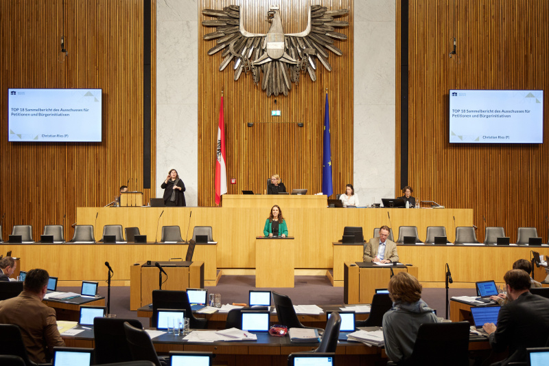 Am Rednerpult Nationalratsabgeordnete Ulrike Fischer (GRÜNE)