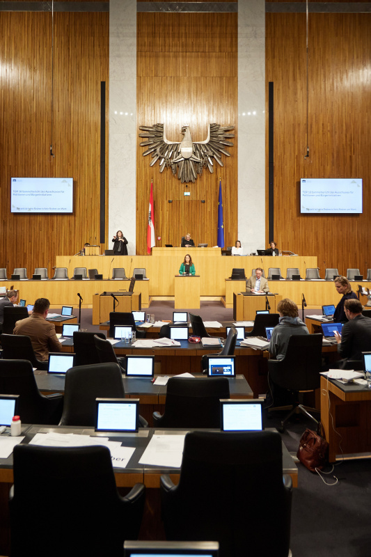 Am Rednerpult Nationalratsabgeordnete Ulrike Fischer (GRÜNE)