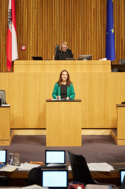 Am Rednerpult Nationalratsabgeordnete Ulrike Fischer (GRÜNE)