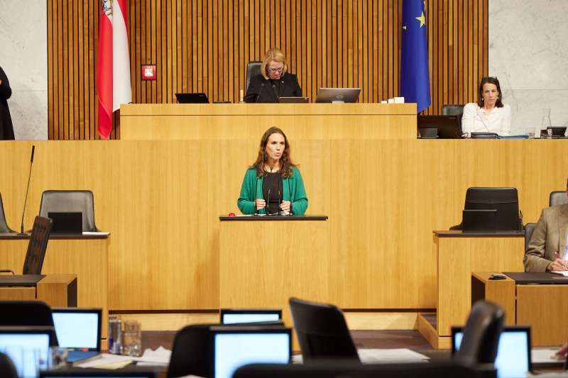 Am Rednerpult Nationalratsabgeordnete Ulrike Fischer (GRÜNE)