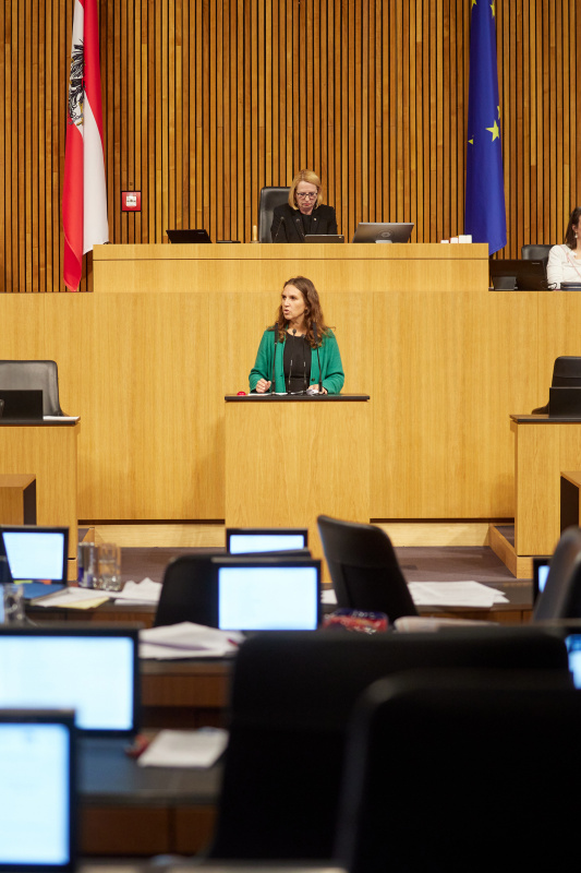Am Rednerpult Nationalratsabgeordnete Ulrike Fischer (GRÜNE)