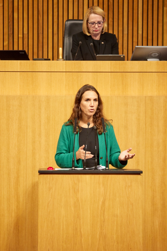 Am Rednerpult Nationalratsabgeordnete Ulrike Fischer (GRÜNE)