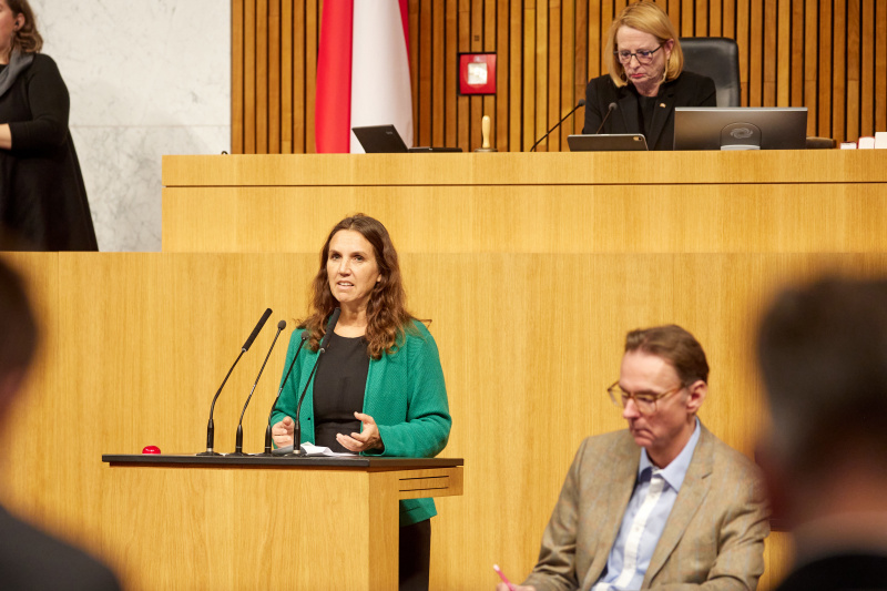 Am Rednerpult Nationalratsabgeordnete Ulrike Fischer (GRÜNE)