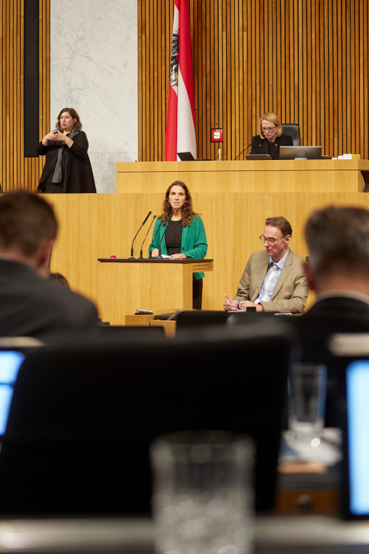 Am Rednerpult Nationalratsabgeordnete Ulrike Fischer (GRÜNE)