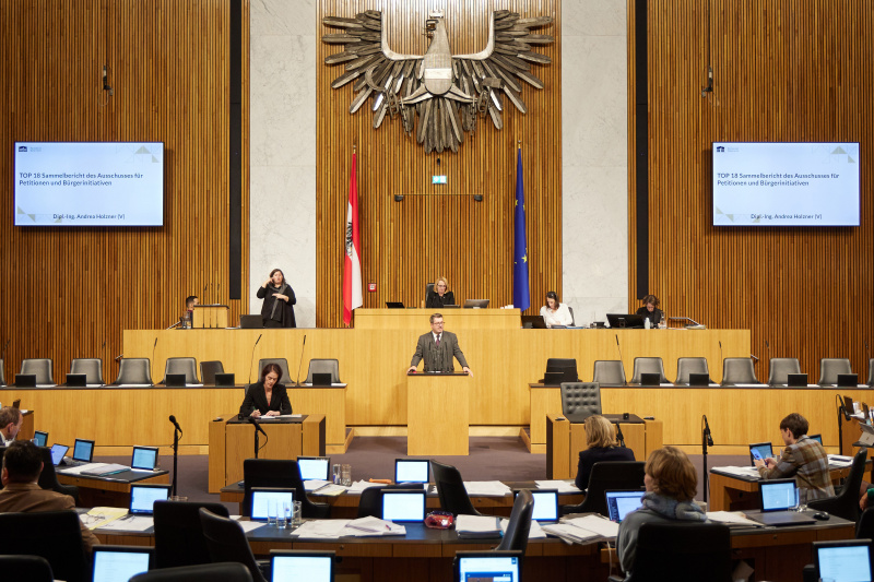 Am Rednerpult Nationalratsabgeordneter Robert Laimer (SPÖ)