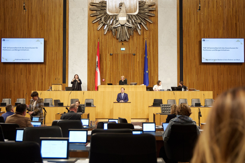 Am Rednerpult Nationalratsabgeordneter Andreas Minnich (ÖVP)