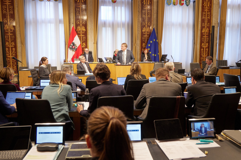 Am Rednerpult Bundesrat Markus Steinmaurer (FPÖ)