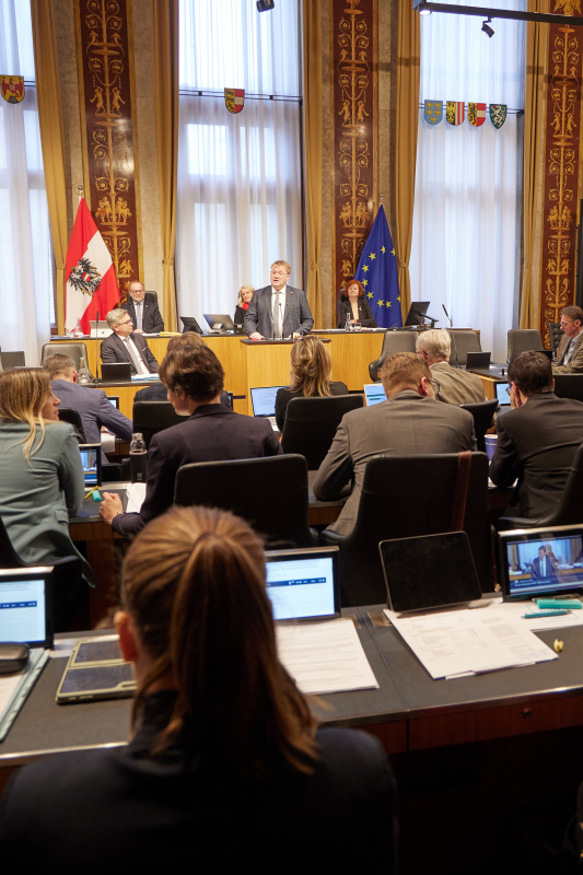 Am Rednerpult Bundesrat Markus Steinmaurer (FPÖ)
