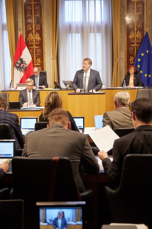 Am Rednerpult Bundesrat Markus Steinmaurer (FPÖ)