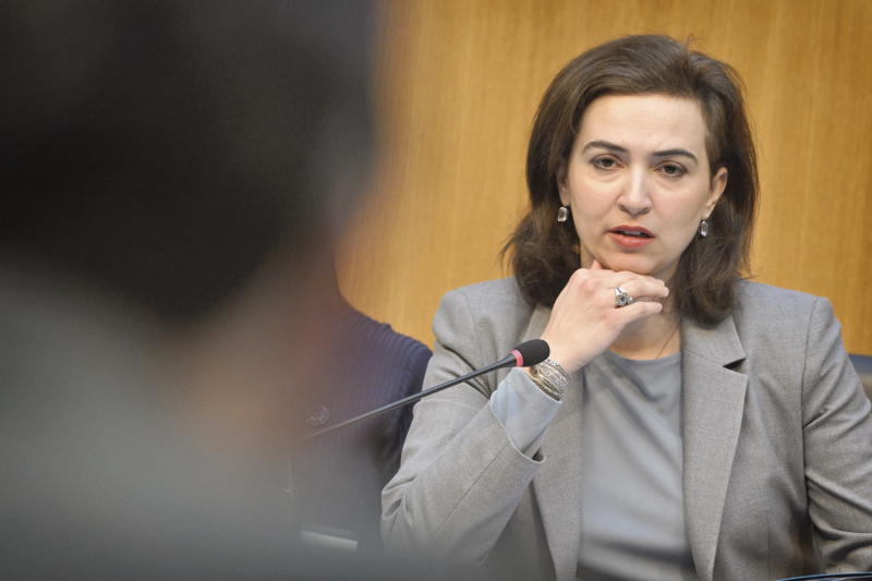 Justizministerin Alma Zadic (GRÜNE) am Wort