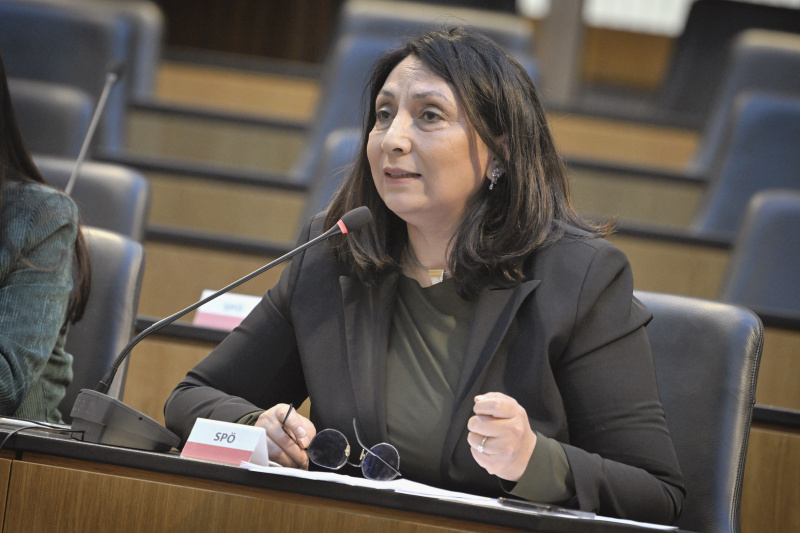 Nationalratsabgeordnete Selma Yildirim (SPÖ) am Wort