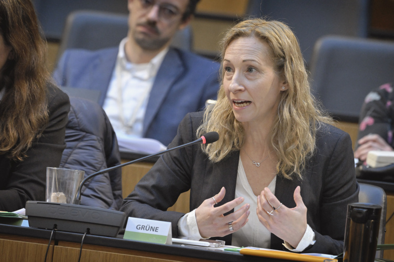 Nationalratsabgeordnete Agnes Sirkka Prammer (GRÜNE) am Wort