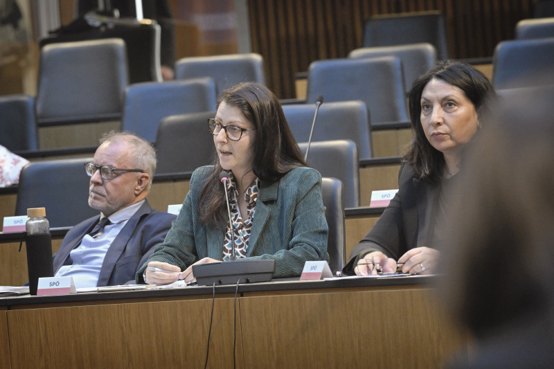 Nationalratsabgeordnete Muna Duzdar (SPÖ) am Wort