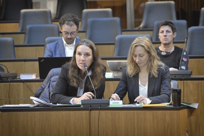 Von links: Nationalratsabgeordnete Ulrike Fischer (GRÜNE) (am Wort), Nationalratsabgeordnete Agnes Sirkka Prammer (GRÜNE) 