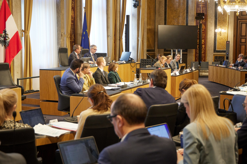 Bevollmächtigte Volksbegehren "Beibehaltung Sommerzeit“ Doris Galbruner am Wort