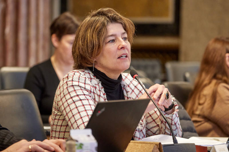 Nationalratsabgeordnete Elisabeth Götze (GRÜNE) am Wort