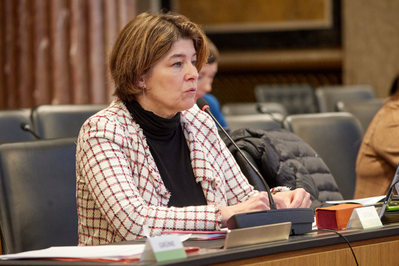 Nationalratsabgeordnete Elisabeth Götze (GRÜNE) am Wort