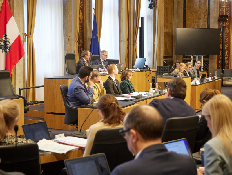 Bevollmächtigte Volksbegehren \x22Beibehaltung Sommerzeit“ Doris Galbruner am Wort