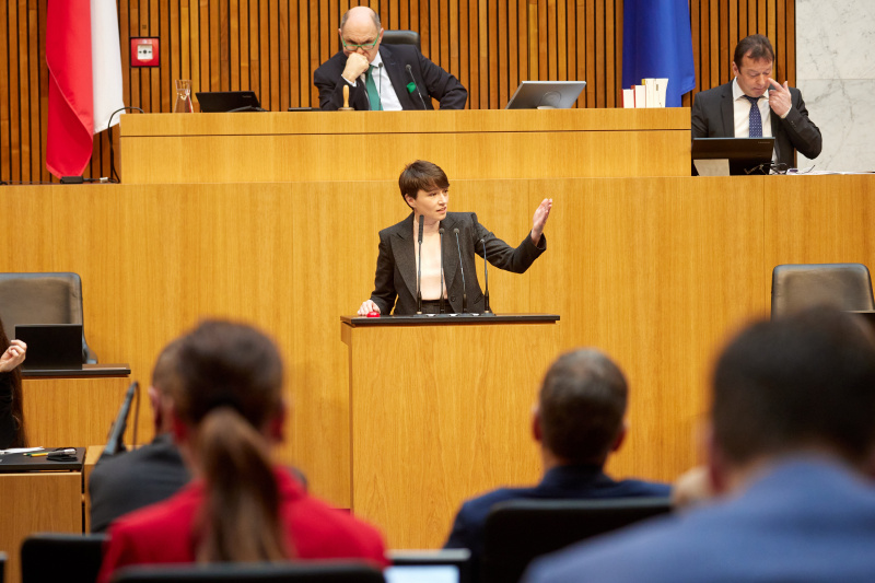 Am Rednerpult Klubobfrau Sigrid Maurer (GRÜNE)
