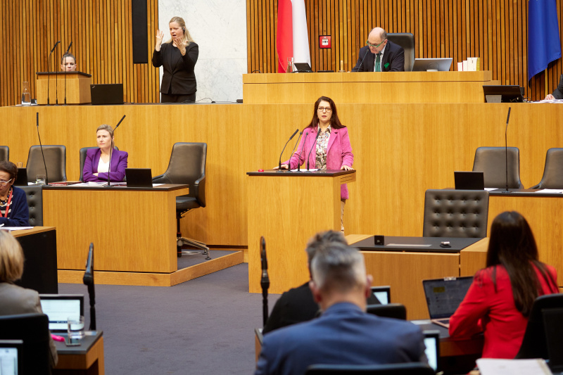 Am Rednerpult Nationalratsabgeordnete Muna Duzdar (SPÖ)