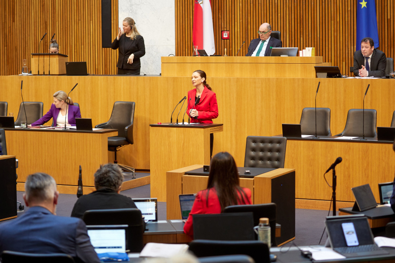 Am Rednerpult Nationalratsabgeordnete Susanne Fürst (FPÖ)