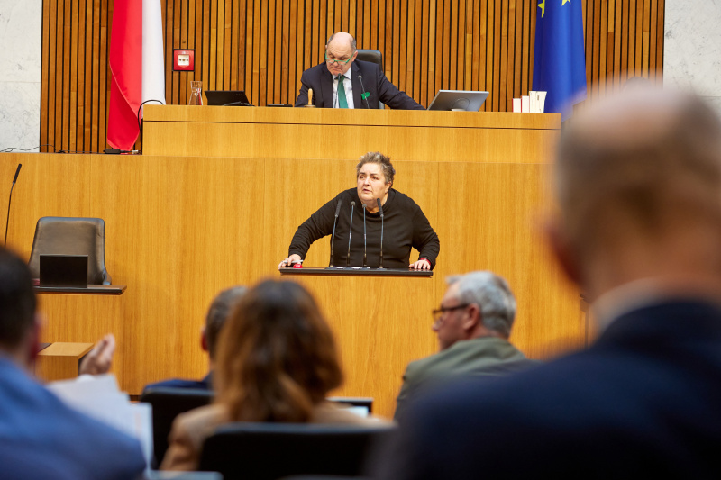 Am Rednerpult Nationalratsabgeordnete Eva Blimlinger (GRÜNE)