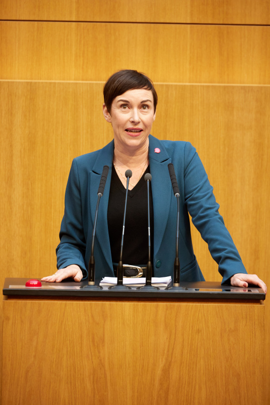 Am Rednerpult Nationalratsabgeordnete Henrike Brandstötter (NEOS)