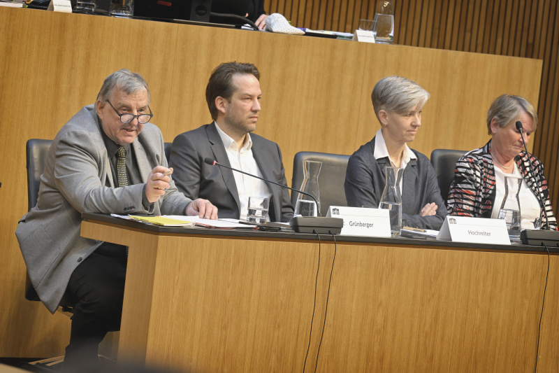 Von links: Sprecher des Volksbegehrens Stefan Grünberger, stellvertretender Sprecher des Volksbegehrens Clemens Grünberger, Literaturwissenschaftlerin und Gleichbehandlungsexpertin Susanne Hochreiter, Expertin und Geschäftsführerin des Rates für deutsche Rechtschreibung Sabine Krome