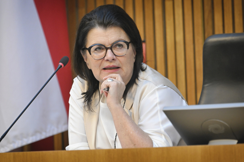 Vorsitzende Nationalratsabgeordnete Elisabeth Pfurtscheller (ÖVP)