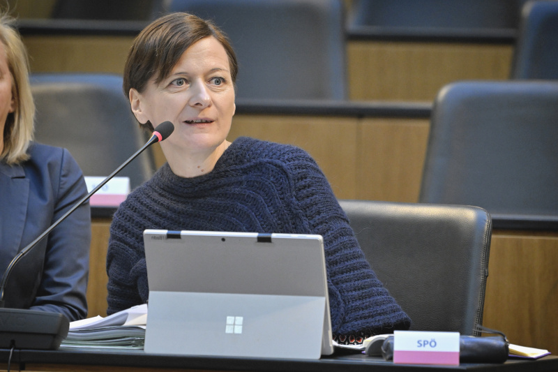 Nationalratsabgeordnete Sabine Schatz (SPÖ)