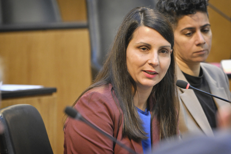 Nationalratsabgeordnete Meri Disoski (GRÜNE)