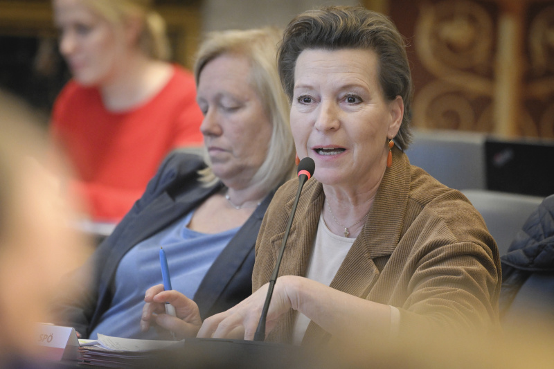 Nationalratsabgeordnete Gabriele Heinisch-Hosek (SPÖ)