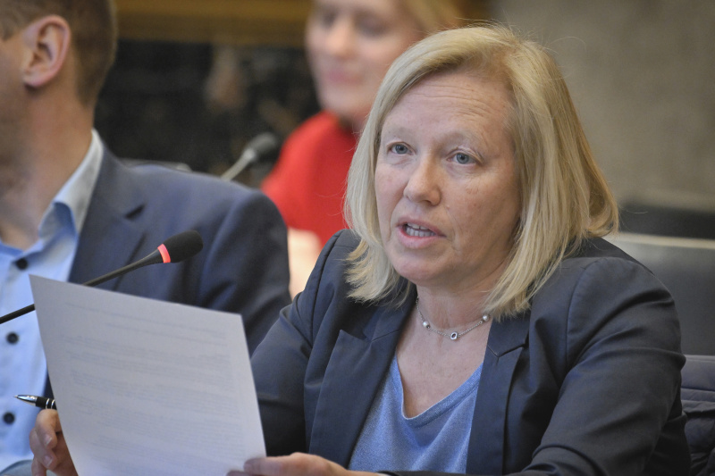 Nationalratsabgeordnete Verena Nussbaum (SPÖ)