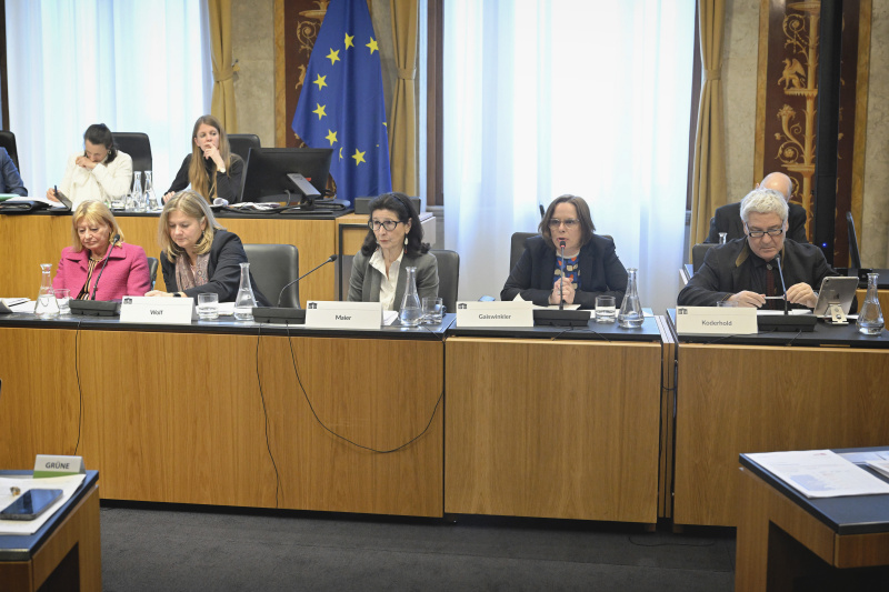 Expert:innen von links: Beate Wimmer-Puchinger, Hilde Wolf, Barbara Maier, Sylvia Gaiswinkler, Günter Koderhold