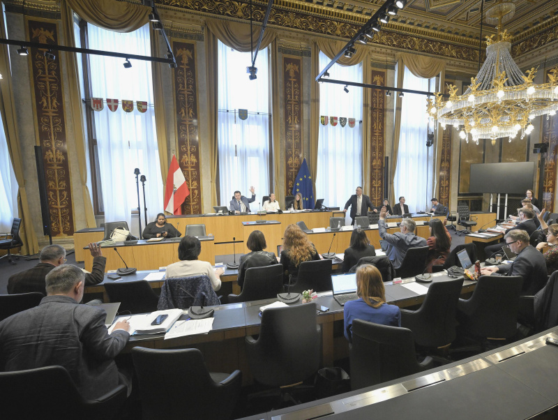 Einige Veranstaltungsteilnehmer:innen beim Gesundheitsausschuss während dem Hearing zum aktuellen Frauengesundheitsbericht