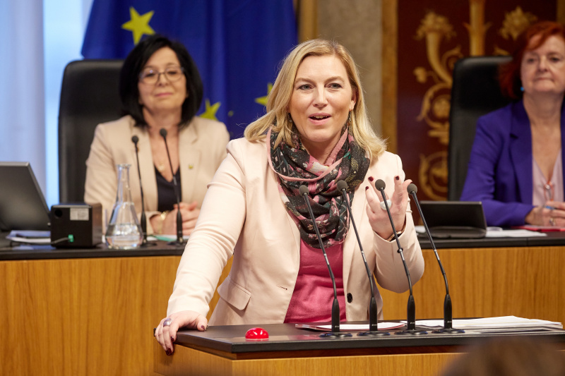 Am Rednerpult Bundesrätin Doris Hahn (SPÖ)