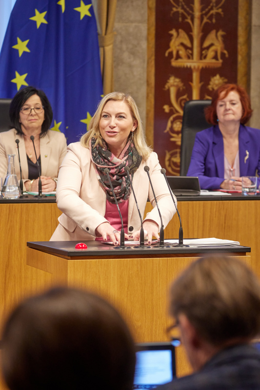 Am Rednerpult Bundesrätin Doris Hahn (SPÖ)