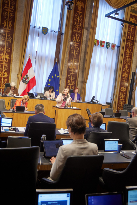 Am Rednerpult Bundesrätin Doris Hahn (SPÖ)