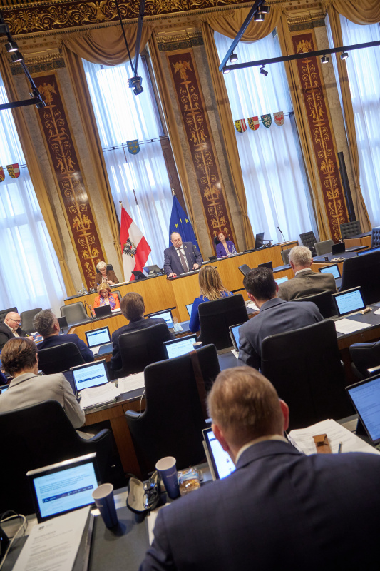 Am Rednerpult Bundesrat Michael Bernard (FPÖ)