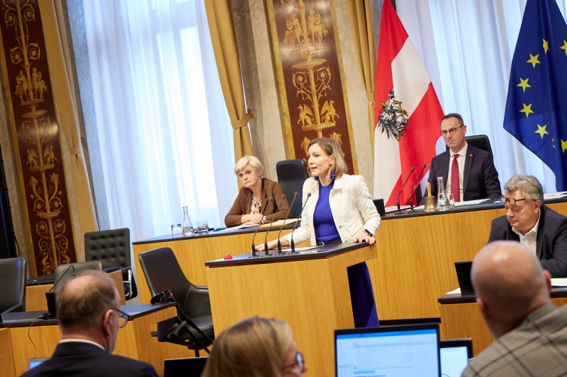 Am Rednerpult Bundesrätin Heike Eder (ÖVP)