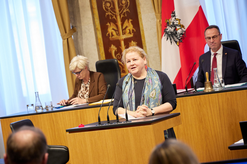 Am Rednerpult Vorsitzende der Bundesratsfraktion Korinna Schumann (SPÖ)