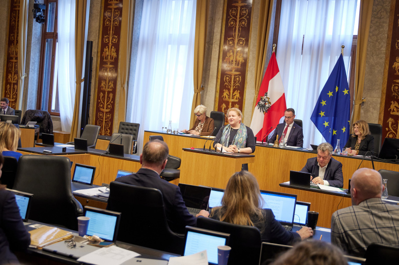Am Rednerpult Vorsitzende der Bundesratsfraktion Korinna Schumann (SPÖ)