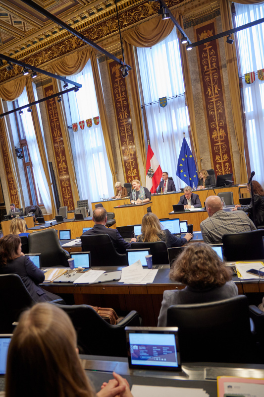 Am Rednerpult Vorsitzende der Bundesratsfraktion Korinna Schumann (SPÖ)