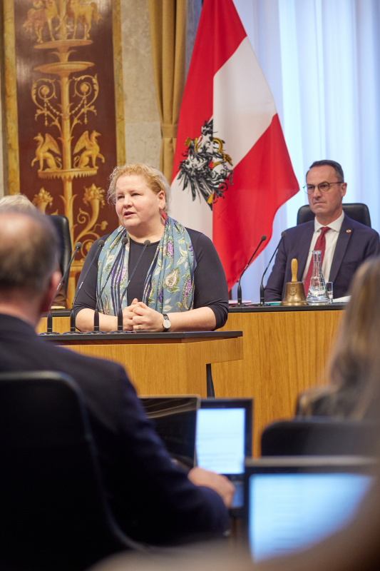 Am Rednerpult Vorsitzende der Bundesratsfraktion Korinna Schumann (SPÖ)