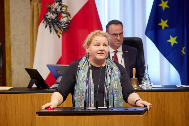 Am Rednerpult Vorsitzende der Bundesratsfraktion Korinna Schumann (SPÖ)